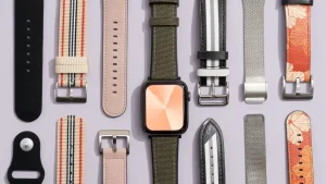 Varierty of watch band types