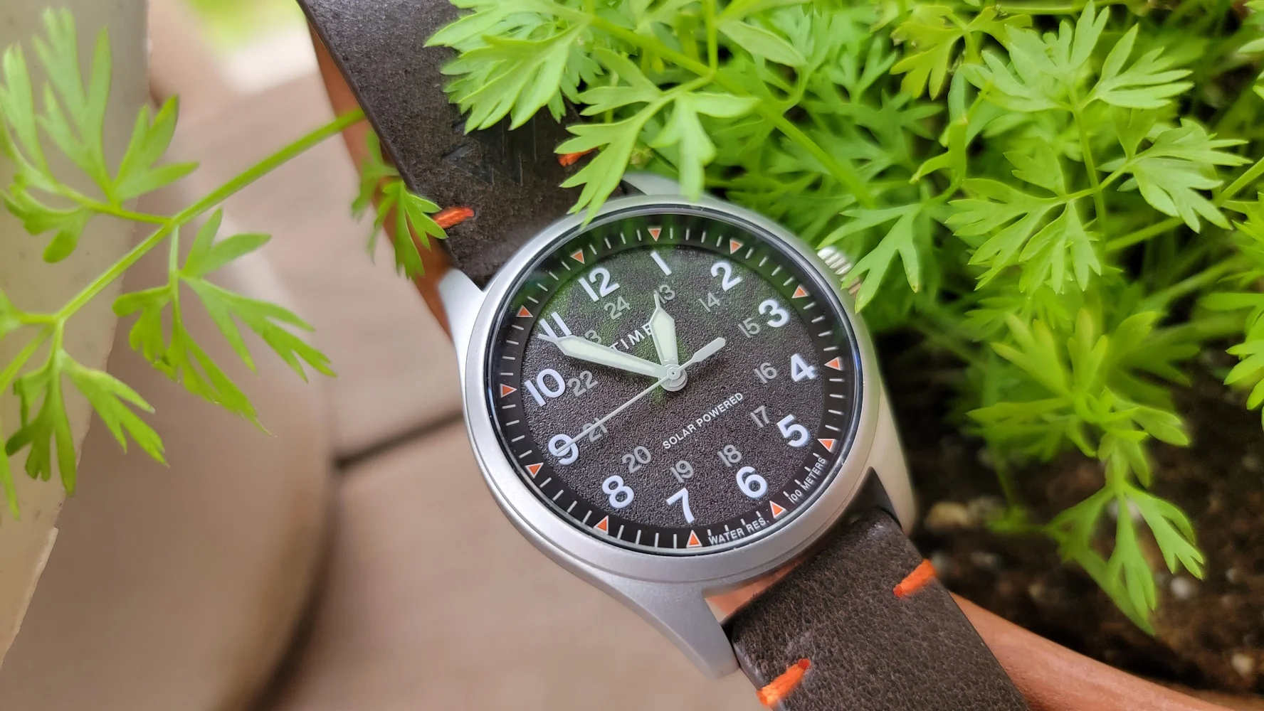 Solar-powered watch surrounded by greenery